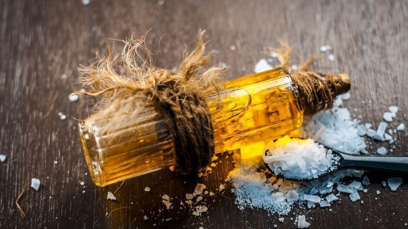 The Camphor Plant: A Powerful Spiritual Ally