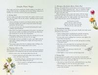 2027 Herbal Enchantment planner by Llewellyn