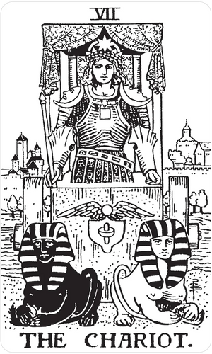 Black & White Rider-Waite® Tarot Deck The Foxes Den