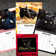 2026 Black Cat calendar