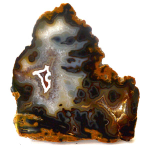 Natural Agate Slice | 7"+ AzureGreen
