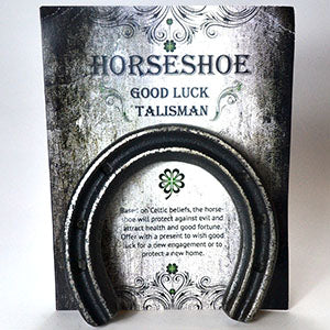 Good Luck Horseshoe AzureGreen