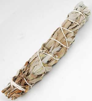 White Sage Smudge Stick | 5-6"