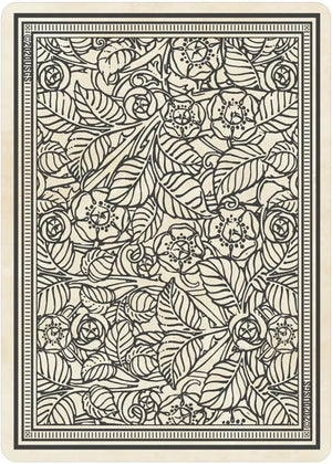Rider-Waite™ Playing Card Deck