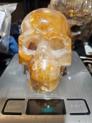 Skull - Golden Healer Qtz (Medium) | 5" Diameter | 39.05oz The Foxes Den