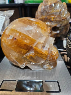 Skull - Golden Healer Qtz (Medium) | 5" Diameter | 39.05oz The Foxes Den