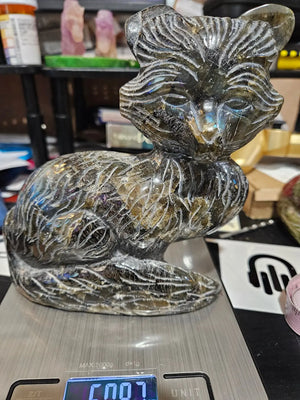 Labradorite Fox | Large |  6" width x 6.5" height | 3.2 Lbs | 50.97 oz The Foxes Den