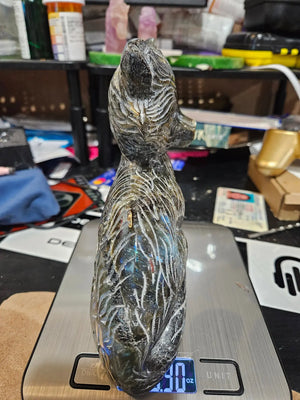 Labradorite Fox | Large |  6" width x 6.5" height | 3.2 Lbs | 50.97 oz The Foxes Den