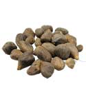 Ikin 3 Eyes (Palm Oil Seed) | 1 lb