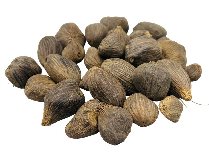 Ikin 3 Eyes (Palm Oil Seed) | 1 lb