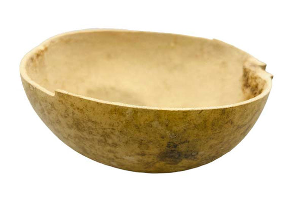 Jicara (Calabash Cup) | 4"