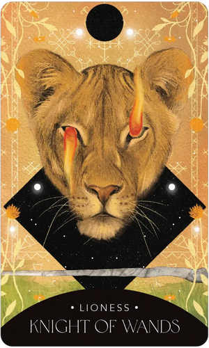 The Symbolic Tarot: Mythic Meanings within Everyday Objects