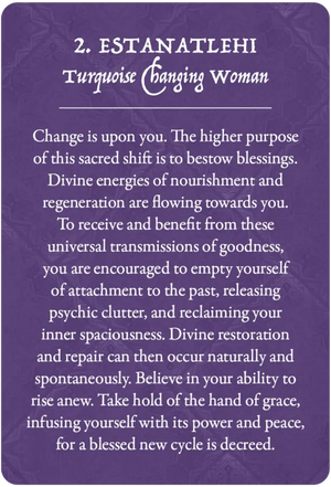 Earth Warriors Oracle Pocket Purpose Edition