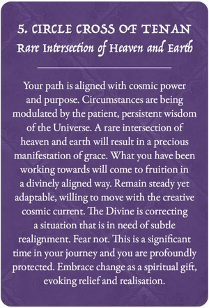 Earth Warriors Oracle Pocket Purpose Edition