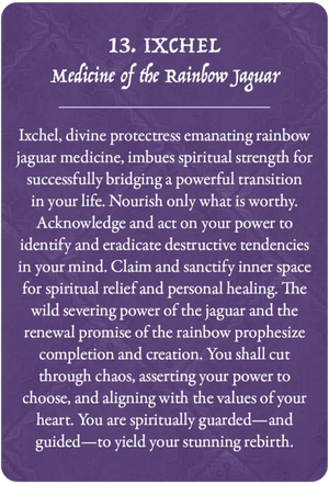 Earth Warriors Oracle Pocket Purpose Edition