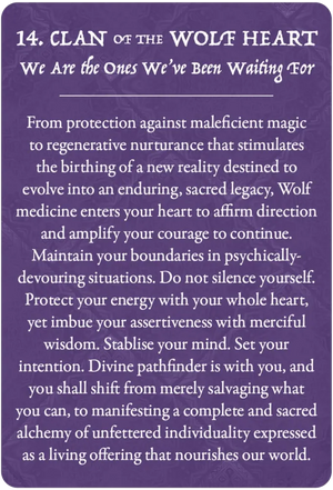 Earth Warriors Oracle Pocket Purpose Edition