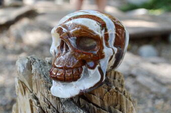 RARE Red and White Moss Agate Crystal Skull Carving - Medium | 14.43 oz