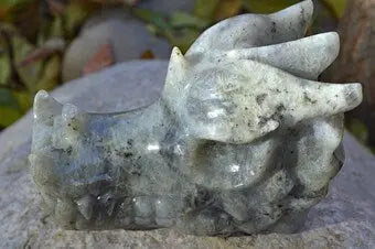 Carved Labradorite Crystal Dragon Skull II | Small/Medium | AAA++ Quality | The Foxes Den