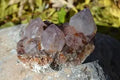 Ametrine | Spirit Quartz | Large | Pink & Gold | Raw Crystal Specimen | Porcupine Quartz | Cactus Quartz | South Africa | AA Quality The Foxes Den