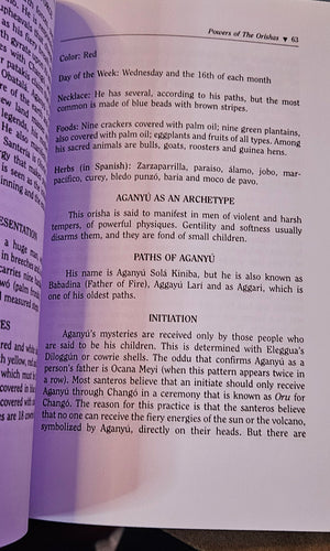 Powers of the Orishas | Soft Cover | by Migene Gonzalez Wippler