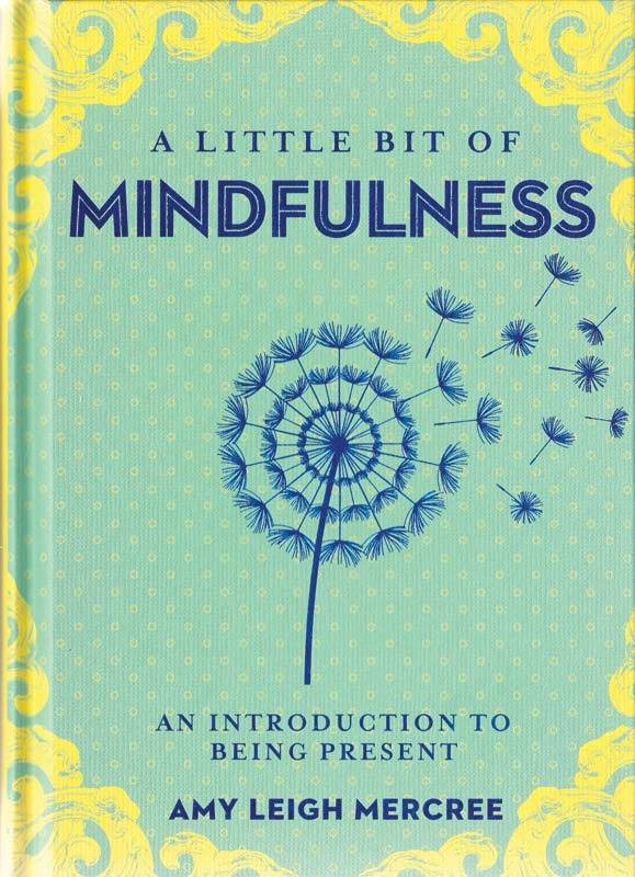 Books A Little Bit of Mindfulness by Amy Leigh Mercree