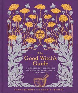 Books Good Witch's Guide by Robbins & Bedell