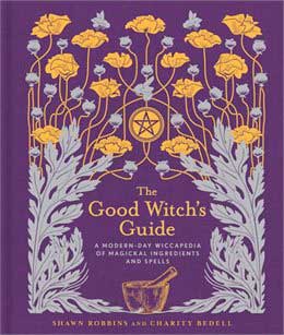Books Good Witch's Guide by Robbins & Bedell