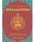 Little Bit of Shamanism by Ana Campos