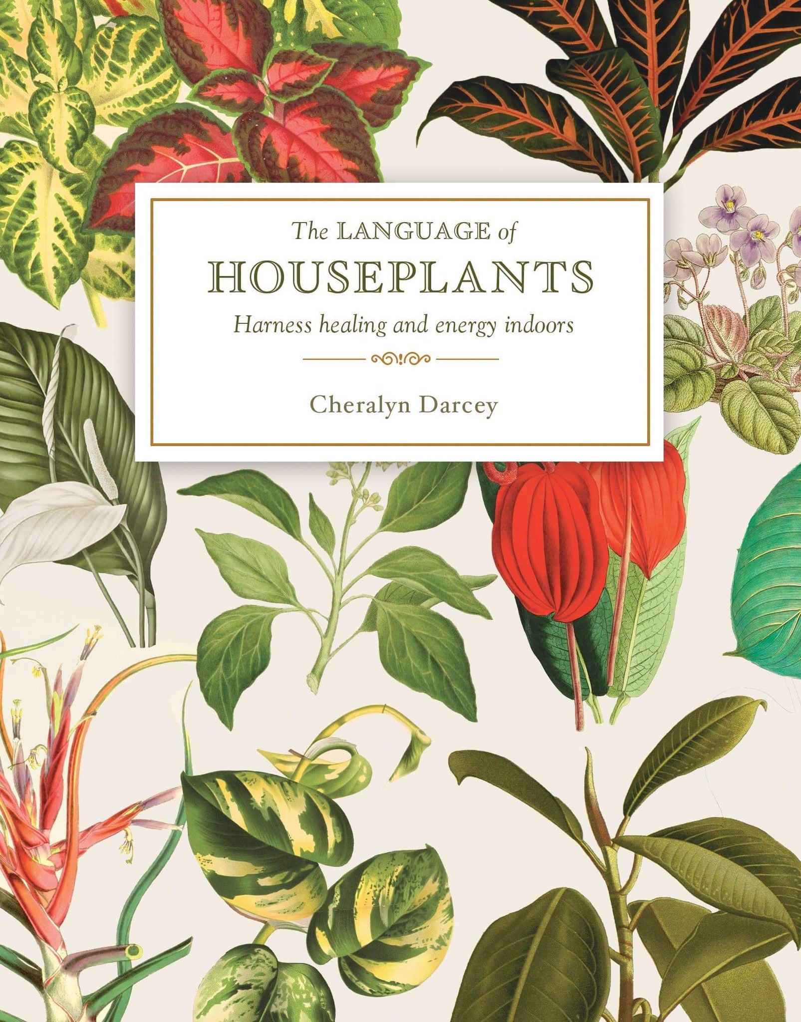 The Language of Houseplants By Cheralyn Darcey