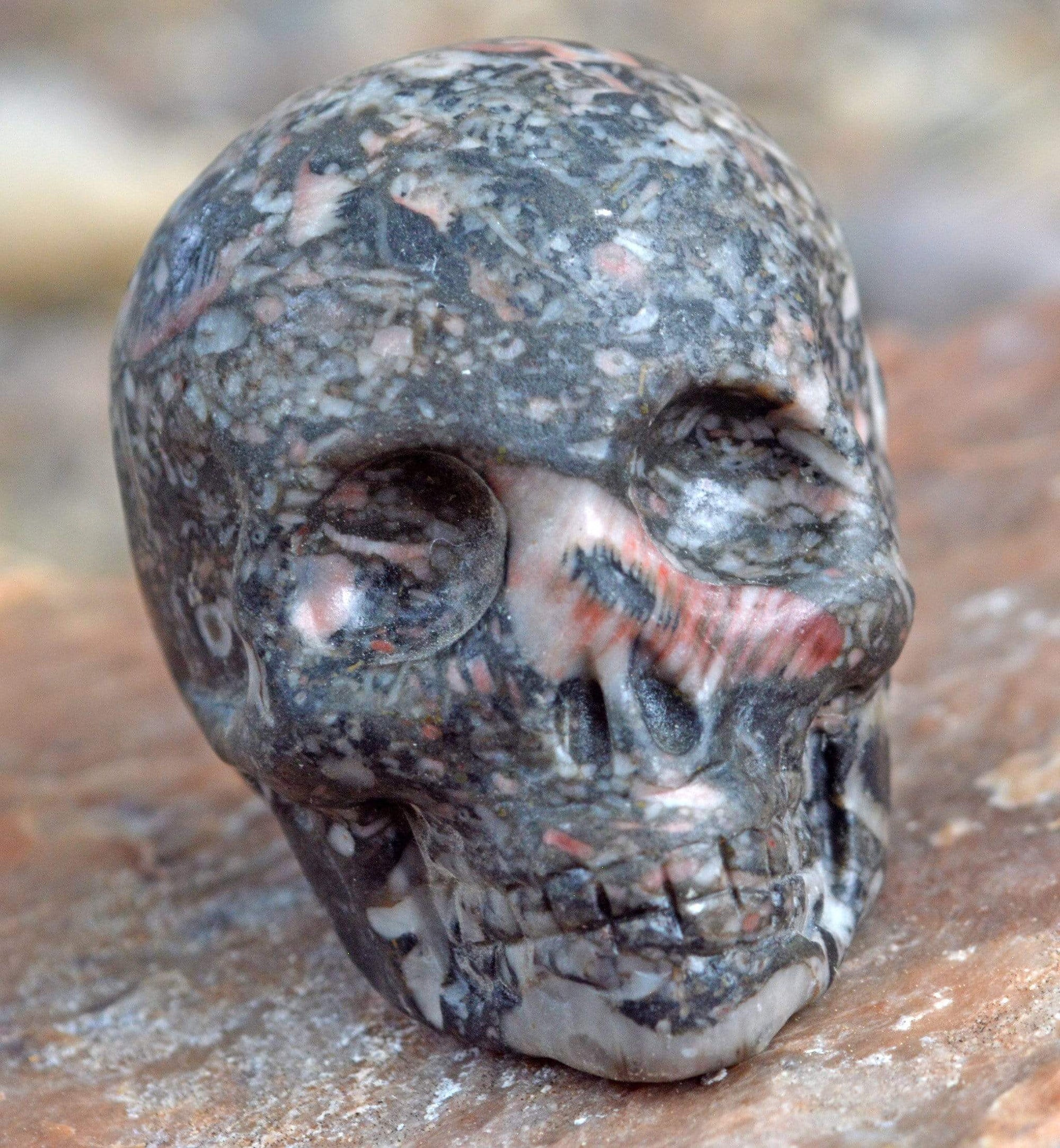 Crystal Skulls Crinoid Fossil Skull II - 2"