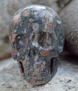 Crystal Skulls Crinoid Fossil Skull III - 2"