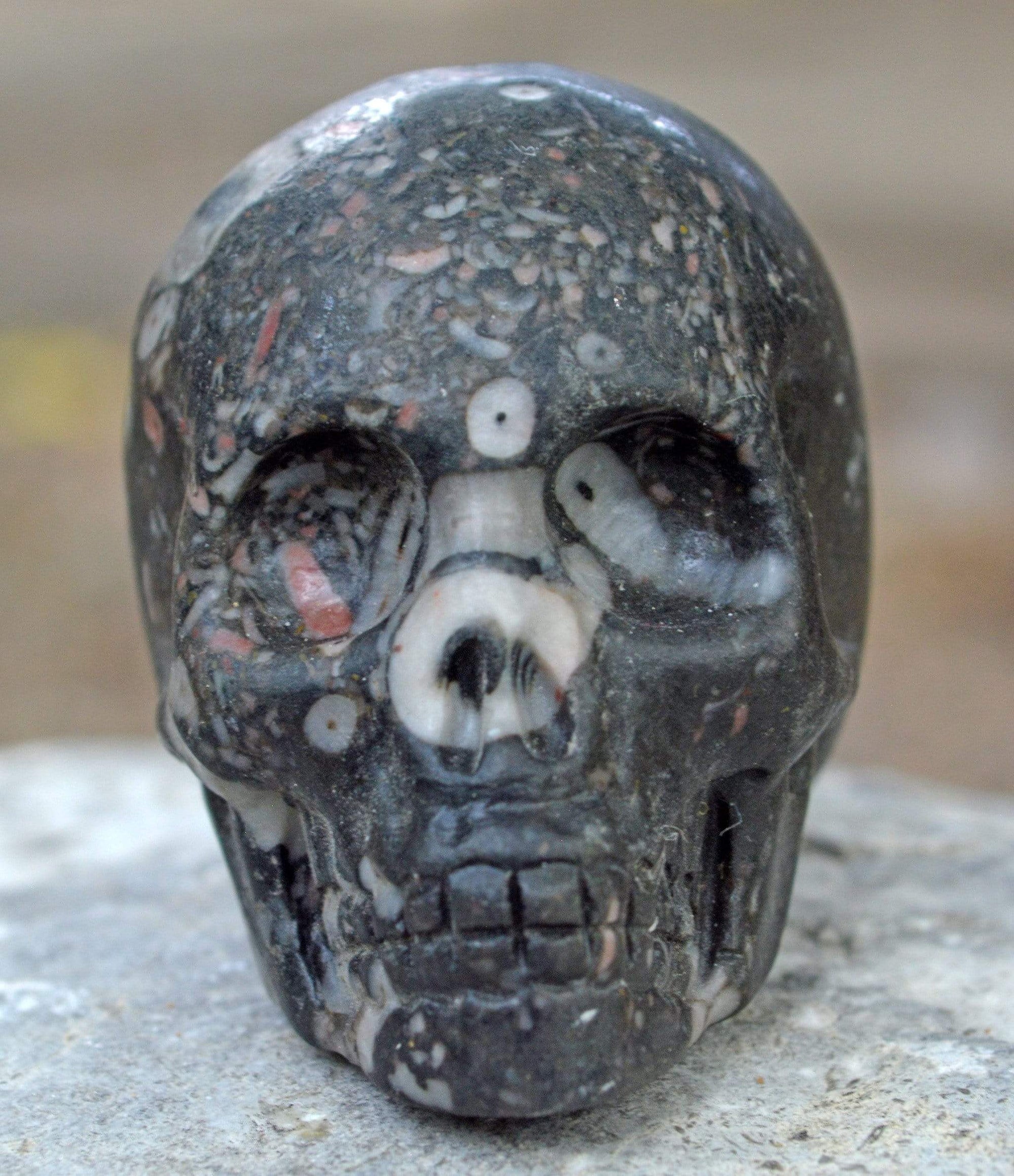 Crystal Skulls Crinoid Fossil Skull IV - 2"