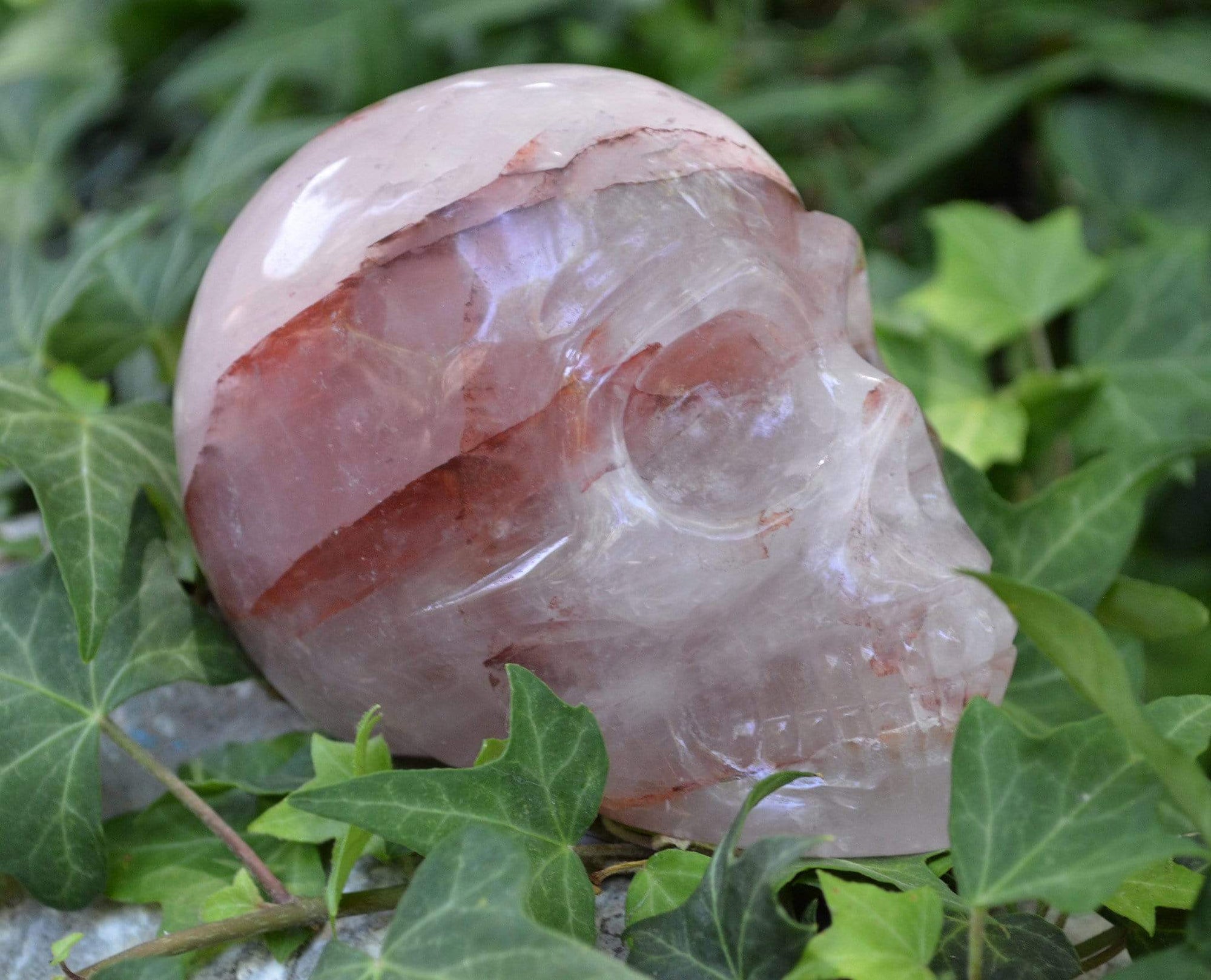 Crystal Skulls Hematoid Skull, Medium
