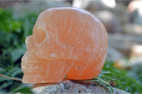 Orange Selenite Carved Crystal Skull - Medium