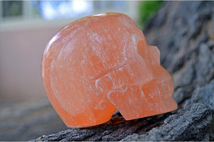 Crystal Skulls Orange Selenite Carved Crystal Skull - Medium