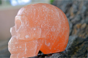 Crystal Skulls Orange Selenite Carved Crystal Skull - Medium