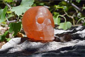 Crystal Skulls Orange Selenite Carved Crystal Skull - Medium