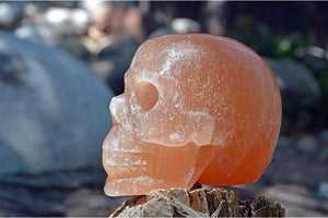 Crystal Skulls Orange Selenite Carved Crystal Skull - Medium