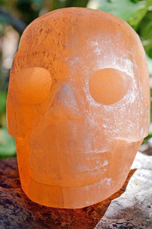 Crystal Skulls Orange Selenite Carved Crystal Skull - Medium