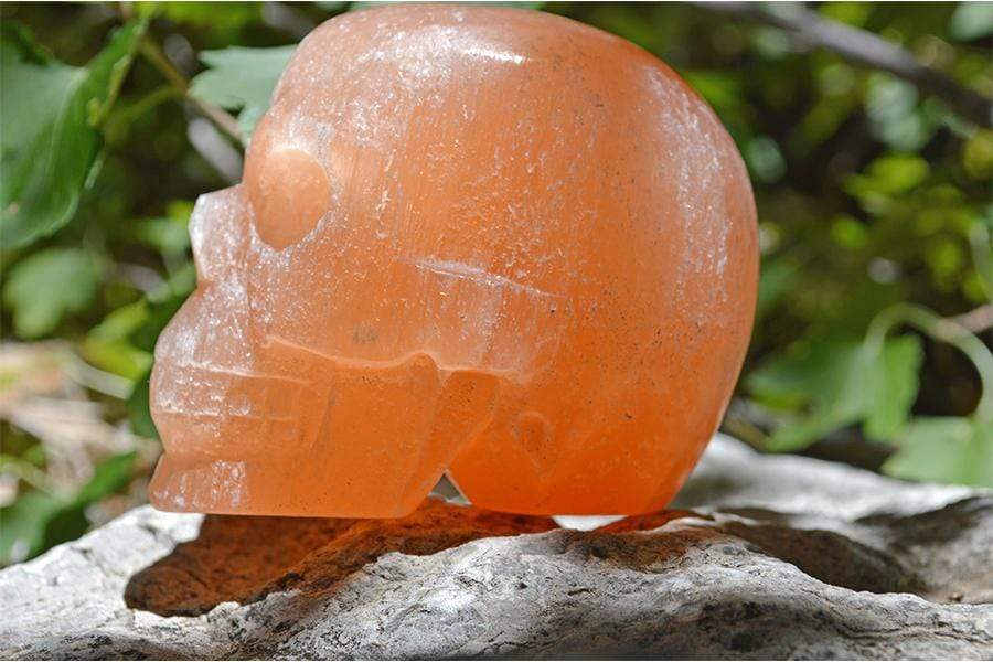 Crystal Skulls Orange Selenite Carved Crystal Skull - Medium