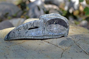 Crystal Skulls THOTH Raven Crystal Skull - Grey Jasper Stone- Large
