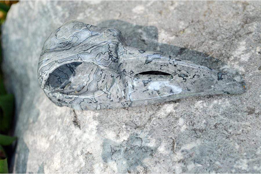 Crystal Skulls THOTH Raven Crystal Skull - Grey Jasper Stone- Large