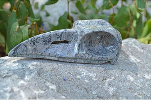 Crystal Skulls THOTH Raven Crystal Skull - Grey Jasper Stone- Large