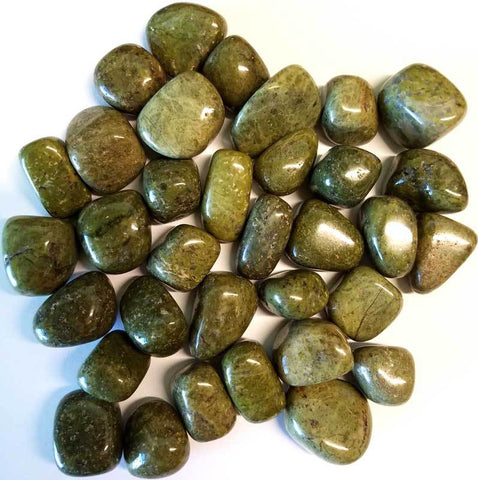 Epidote Tumbled Stones Crystals | 1 lb