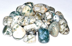 Crystal Tumbled Tree Agate Tumbled Stones Crystals | 1 lb
