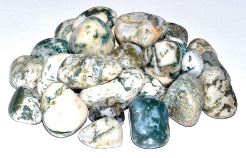 Tree Agate Tumbled Stones Crystals | 1 lb