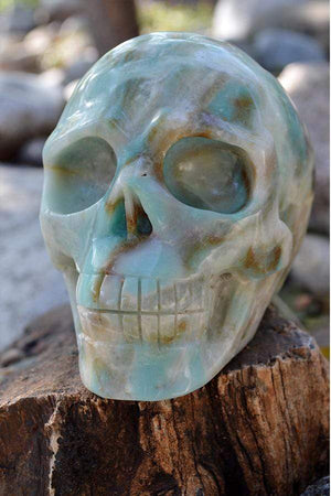 Crystal Wholesale Amazonite Crystal Skull Carving I - Large