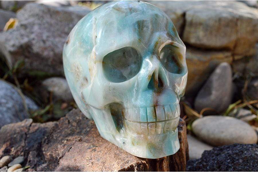 Crystal Wholesale Amazonite Crystal Skull Carving I - Large