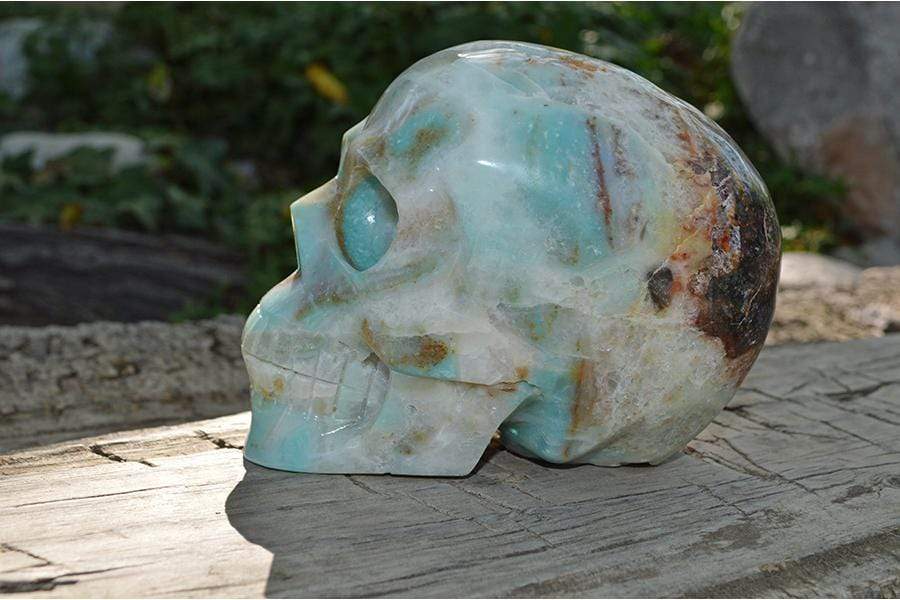 Crystal Wholesale Amazonite Crystal Skull Carving I - Large