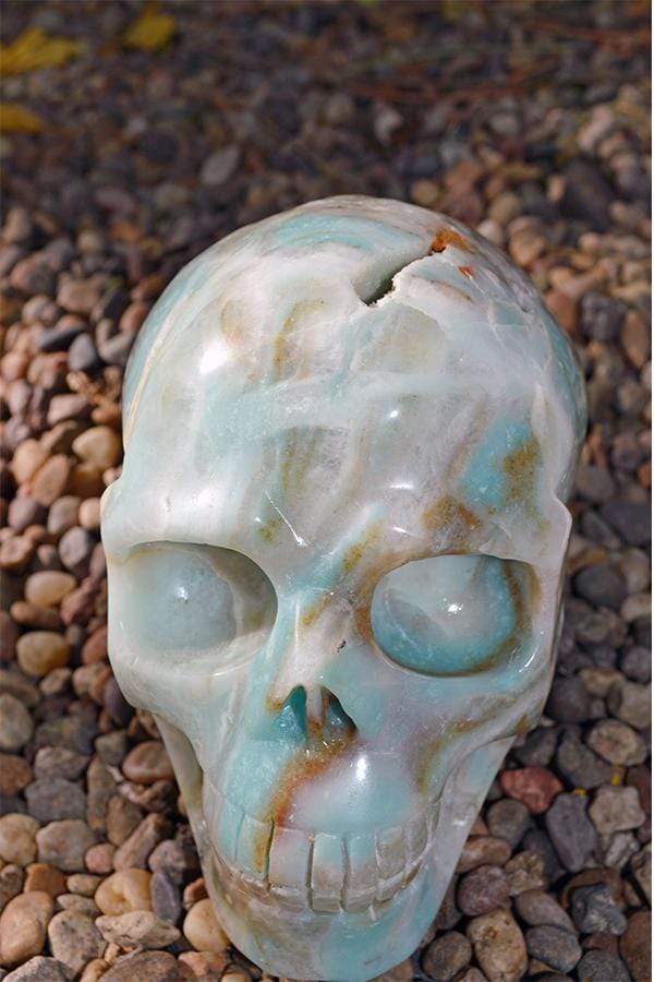 Crystal Wholesale Amazonite Crystal Skull Carving I - Large